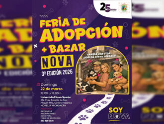 ¡Adopta un amor peludo! Perros y gatos esperan un hogar en feria de adopción