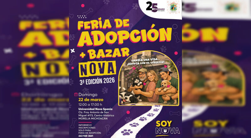 ¡Adopta un amor peludo! Perros y gatos esperan un hogar en feria de adopción