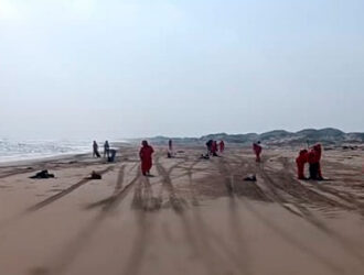 Muerte silenciosa: seis tortugas varadas en las costas de Veracruz